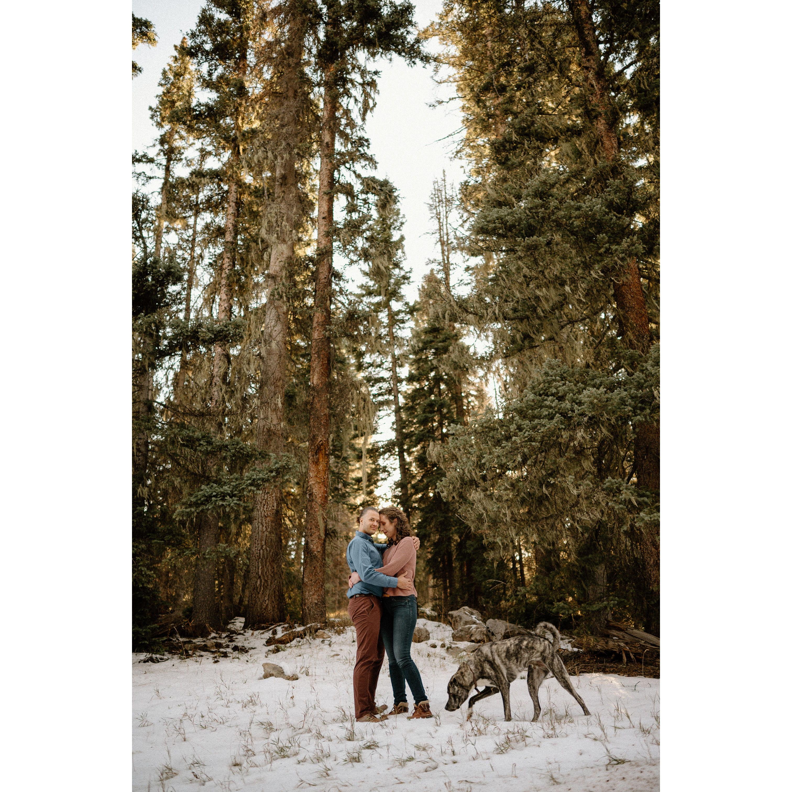 Engagement Photos, ft. Riker, San Juan Mountains, Colorado, 2022