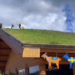 Al Johnson’s Swedish Restaurant & Butik