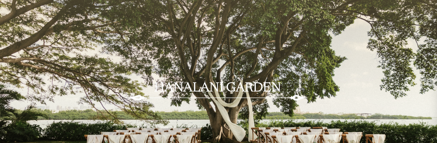 The Wedding Website of Mayra Hernandez and Osvaldo Fonseca