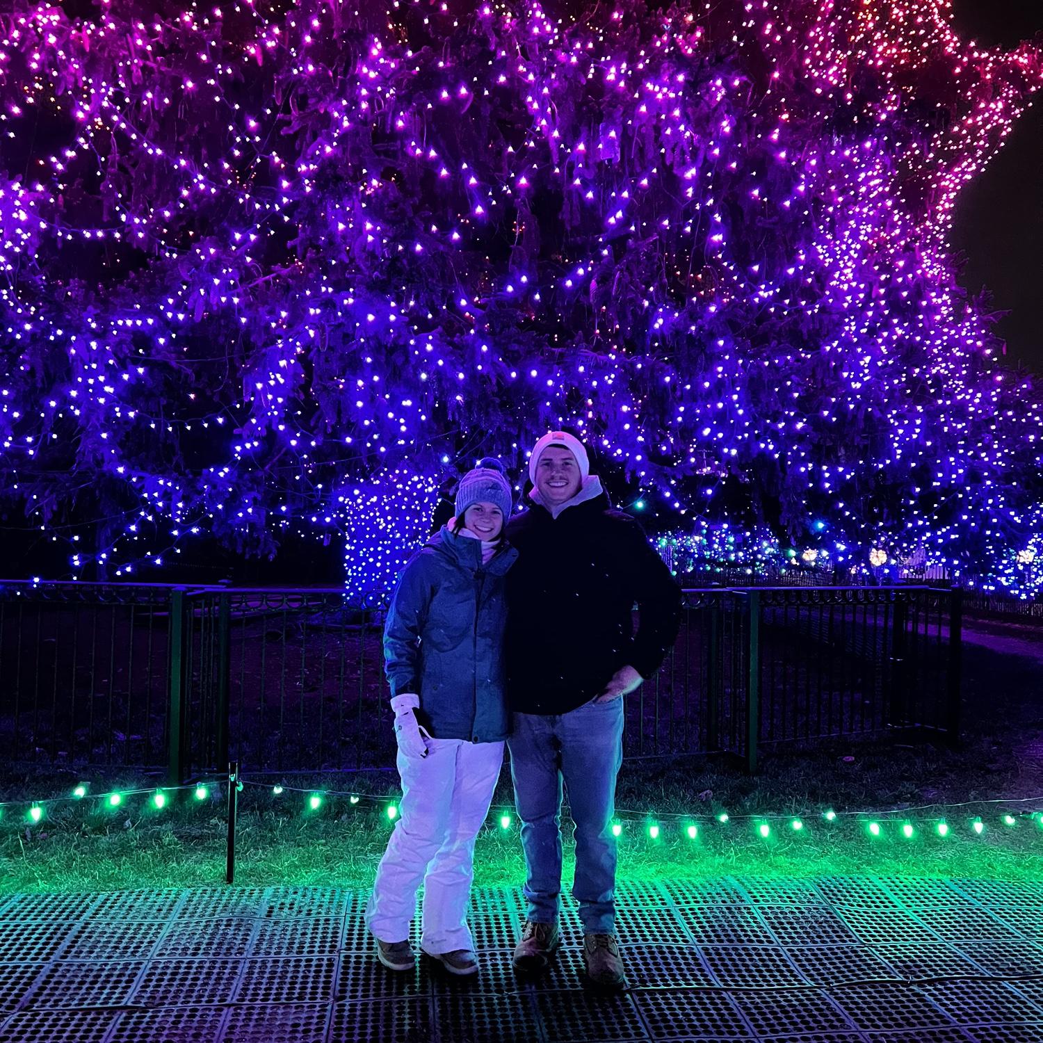 Lights before Christmas @ Toledo Zoo🫶🏼
