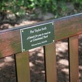 Taylor Swift Bench