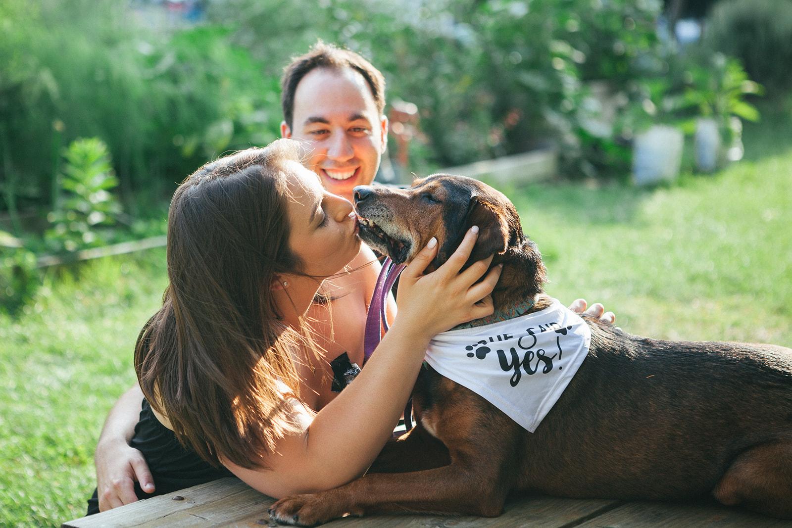 The Wedding Website of Emily Modelevsky and Ross Goodman