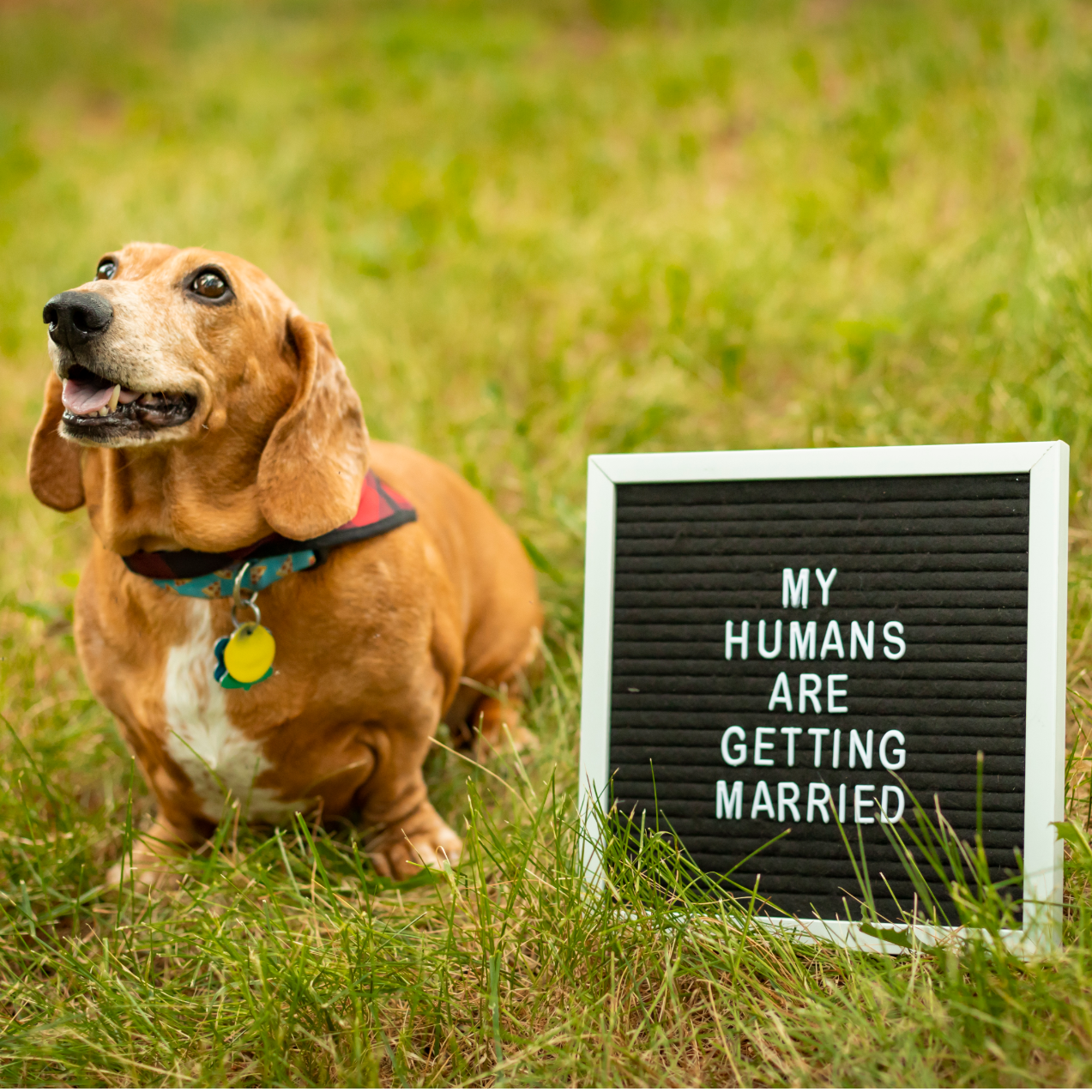 We had so much fun at our engagement shoot with James Lathrop Photography!