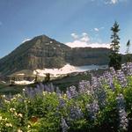 Mount Timpanogos hike (strenuous)