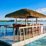 Go Tiki Tours Tampa - #1 Floating Tiki Boat