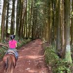 Horseback riding in the mountains!