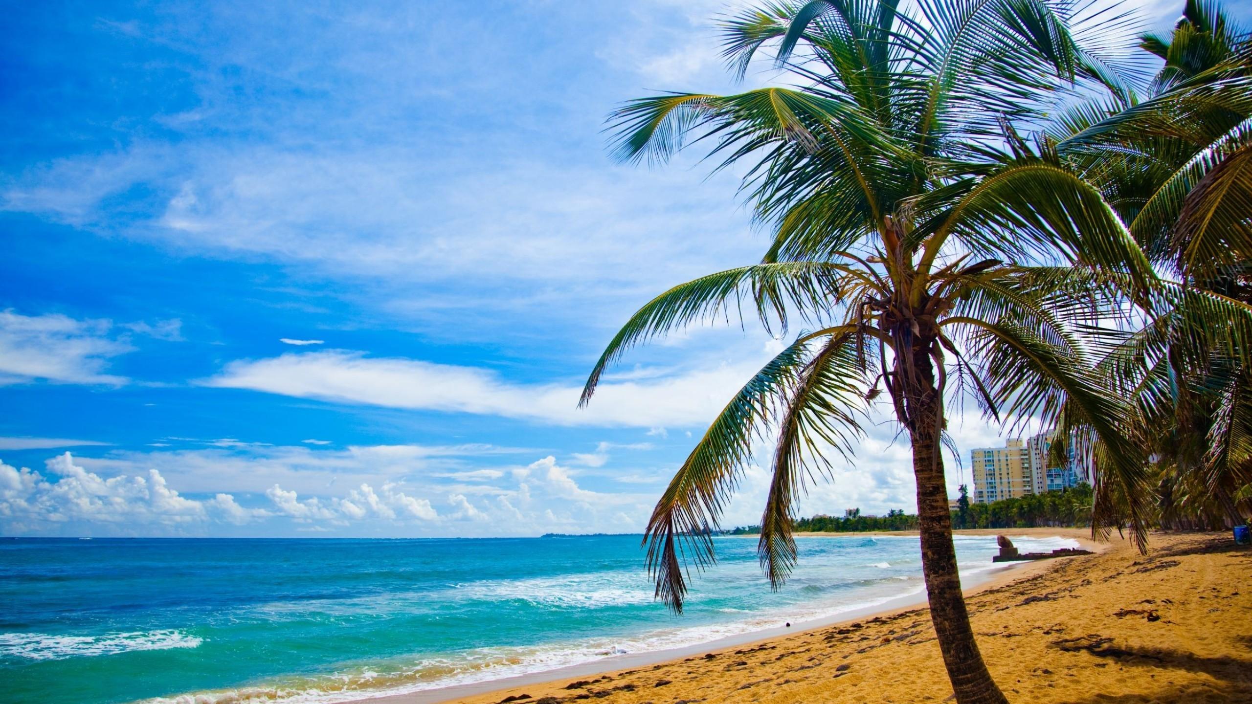 The Wedding Website of Trish Cruz and Jason Martinez