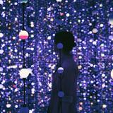 Museo de la Luz