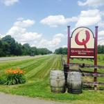 Quattro Goombas Winery & Brewery