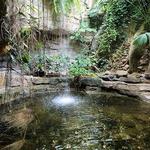 Cockrell Butterfly Center