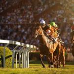 Vernon Downs Casino Hotel