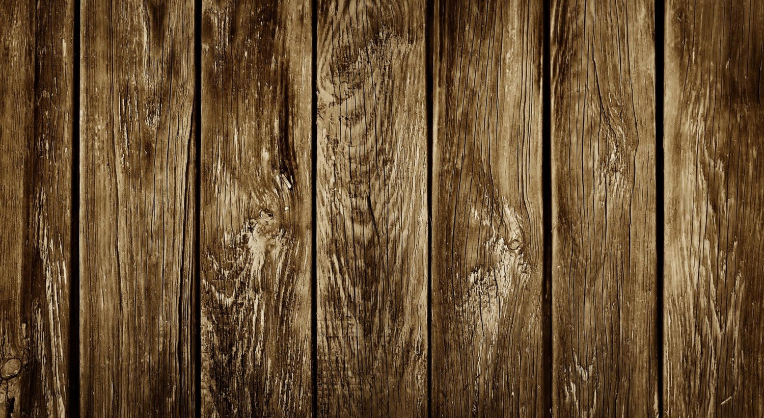 Footer image