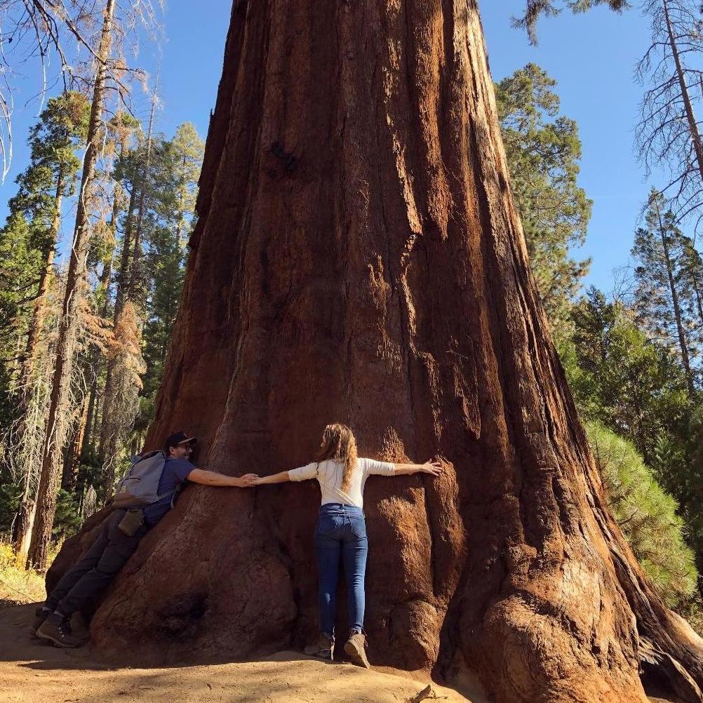 Yosemite, the day after I said "yes!"
Oct. 2018