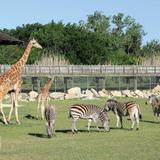 Frank Buck Zoo