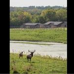 Wildlife Prairie Park