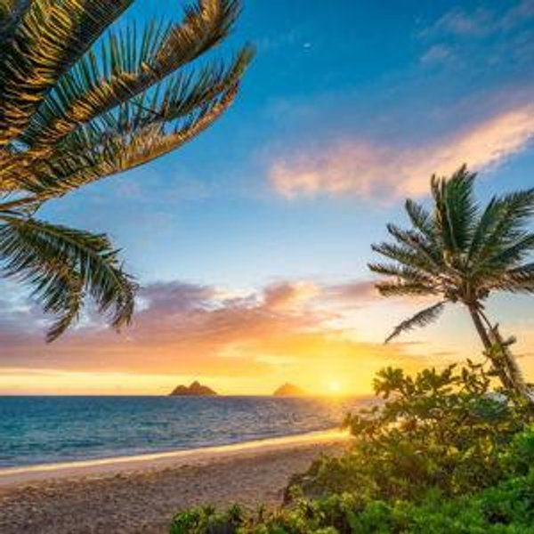 Honeymoon in Hawaii