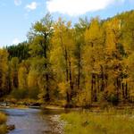 Rock Creek