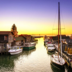 Fish Town