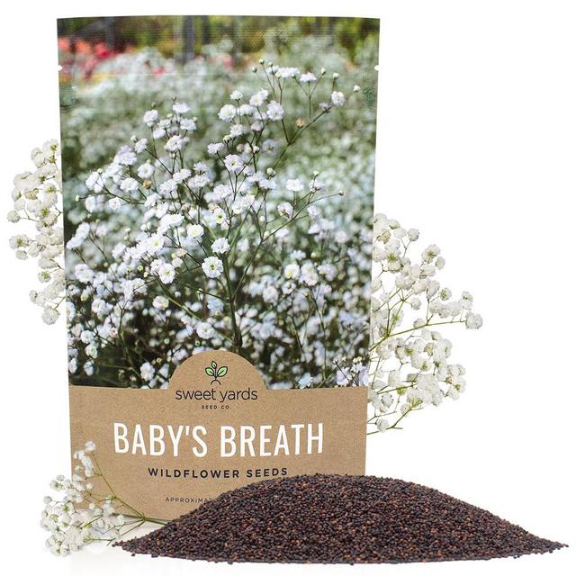 Showy Baby's Breath Seeds – Bulk Quarter Pound Bag – Over 80,000 Open Pollinated Non-GMO Wildflower Seeds – Gypsophila elegans – Quick Blooming White Flowers