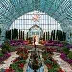 Como Park Zoo & Conservatory
