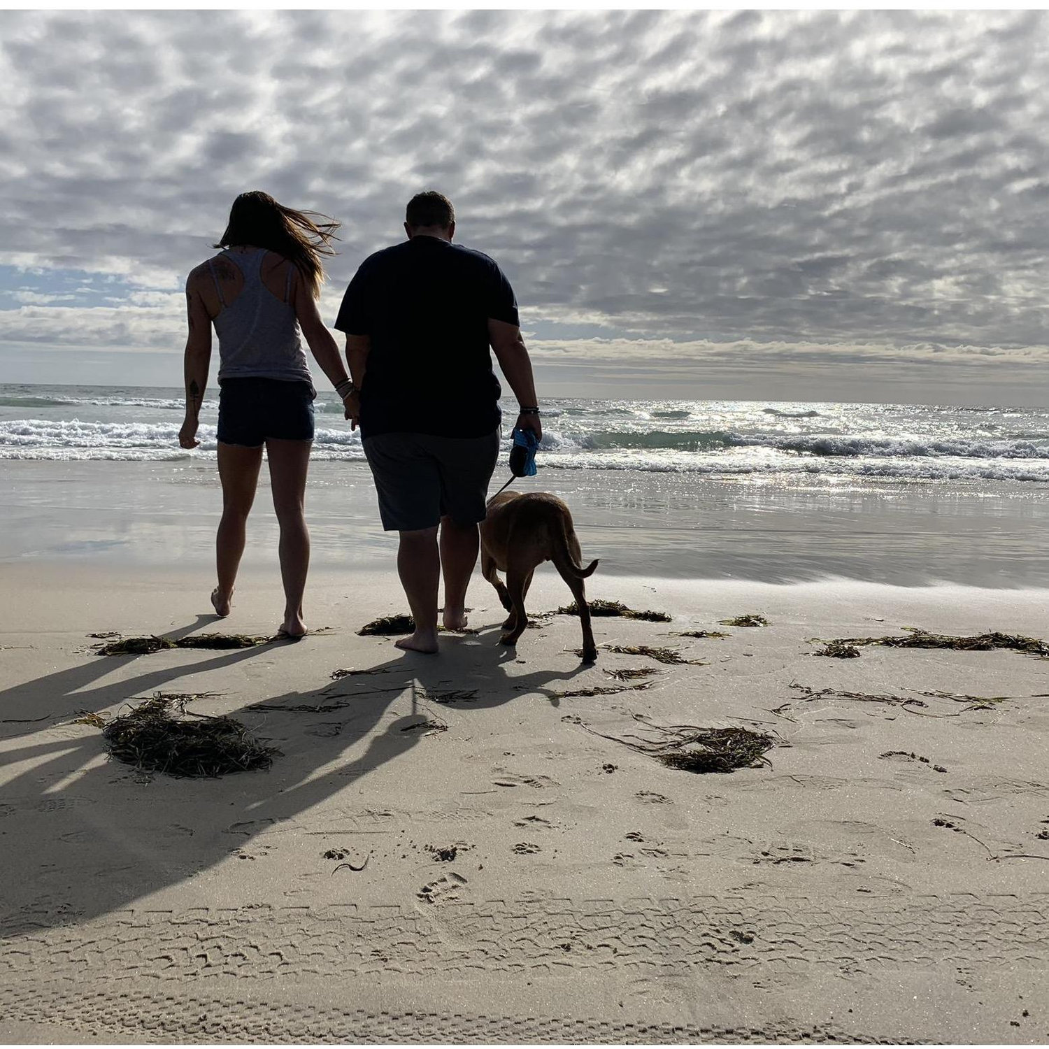 Engagement pics in Cardiff- by- the- Sea