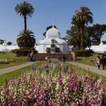 Golden Gate Park