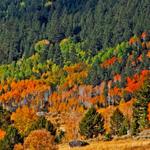 Scenic Route HWY 88 CA- Beautiful Fall foliage