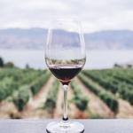 Holy Grail Winery & Vineyard