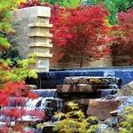 The Dallas Arboretum and Botanical Garden