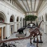 Field Museum