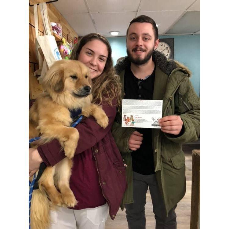 Sonny's Gotcha Day - Watertown, NY 2019