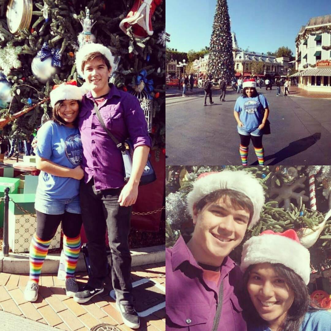 Disneyland Christmas 2015