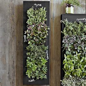 Rectangular Chalkboard Wall Planter