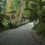 Bona Dea Trails