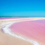 The Coloradas