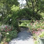 Blithewold Mansion, Gardens & Arboretum