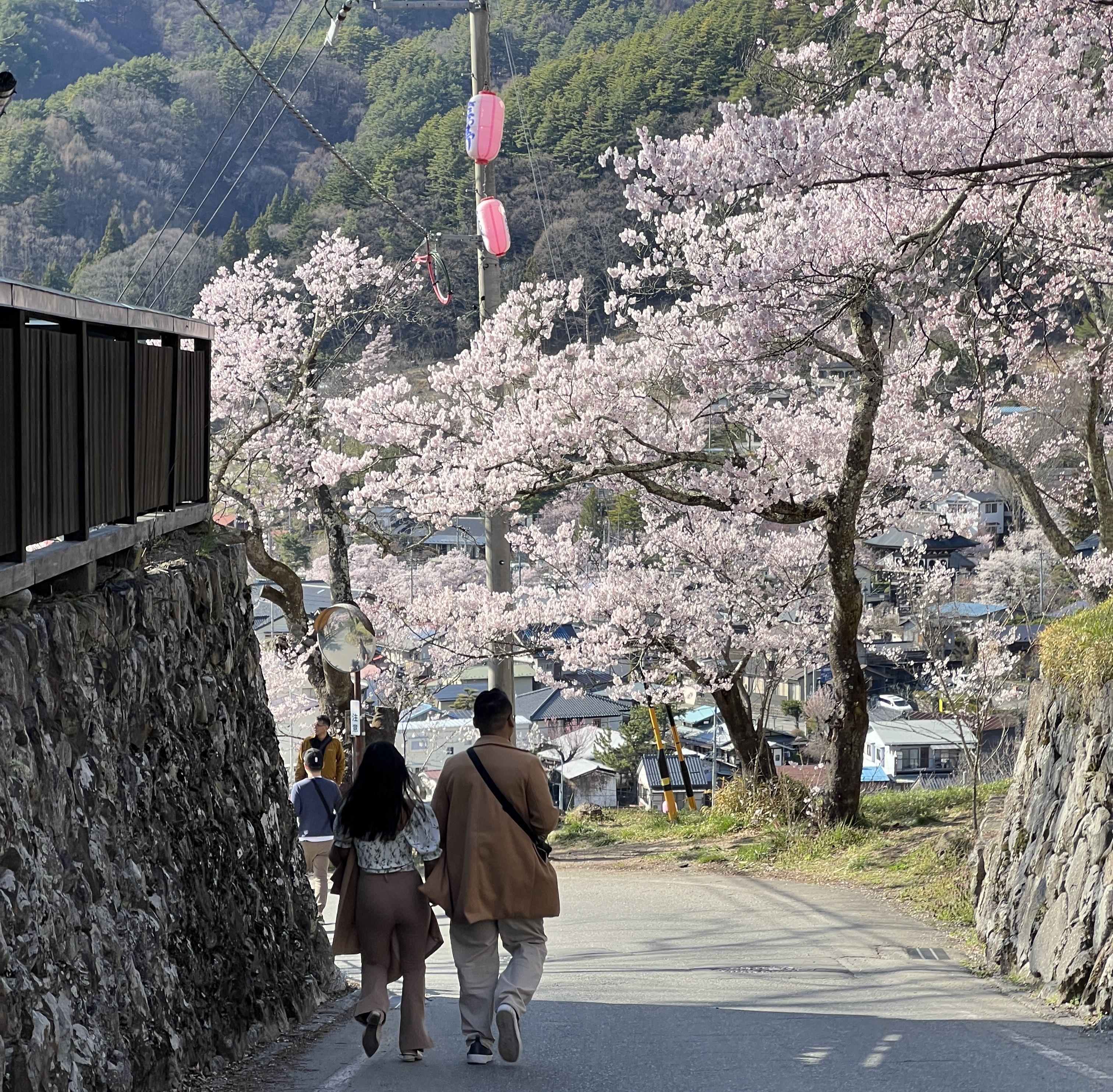 The Wedding Website of Diona Pham and Thomas Scott Lasdavanh