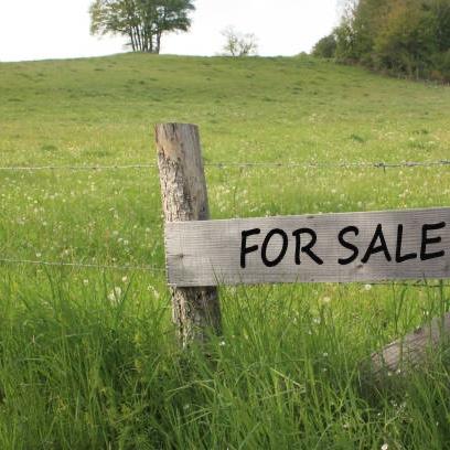 Homestead Fund