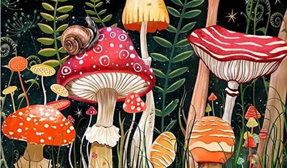 The Wedding Website of Michala Baileys and Steph Castro