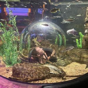 Aquarium Visit