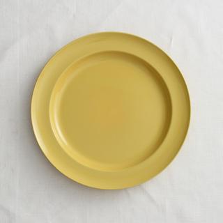 Stoneware Dinner Plate