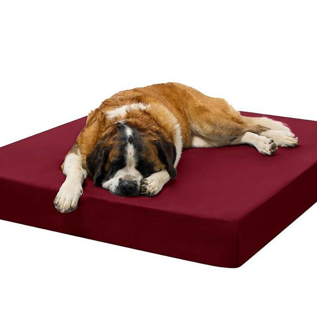 Barker Beds Giant Orthopedic Dog Bed - 7" Memory Foam Mattress - 100-300 lbs - Joint Pain & Arthritis Support - Vet Recommended, Washable Cover - Made in USA - 60"x48"x7" - Burgundy