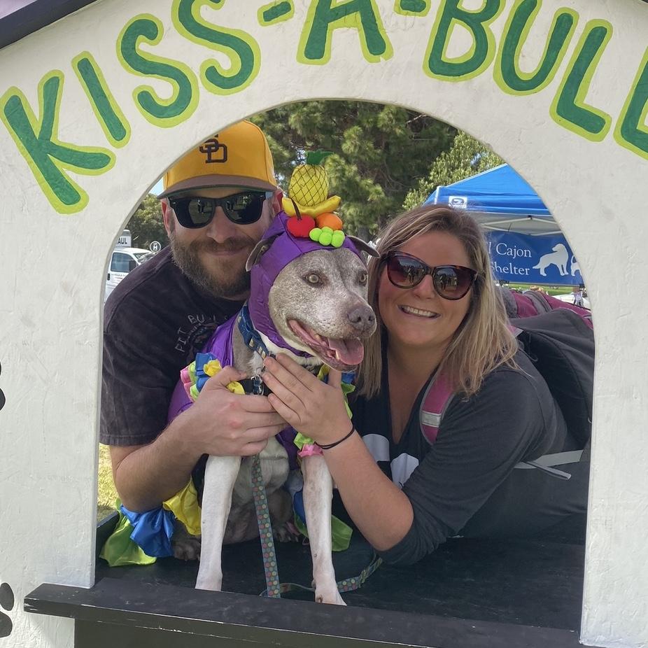 We used to take Stella Blue to the pitbull festival every October in Point Loma. Oatie will have a pitbull sister again one day!