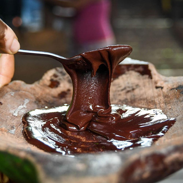 Cacao Tour at Bribri Indigenous Reserve