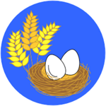 Toast and Eggs