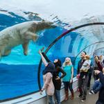 Detroit Zoo