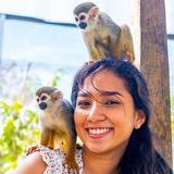 Monkeyland