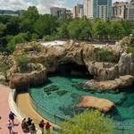 Houston Zoo