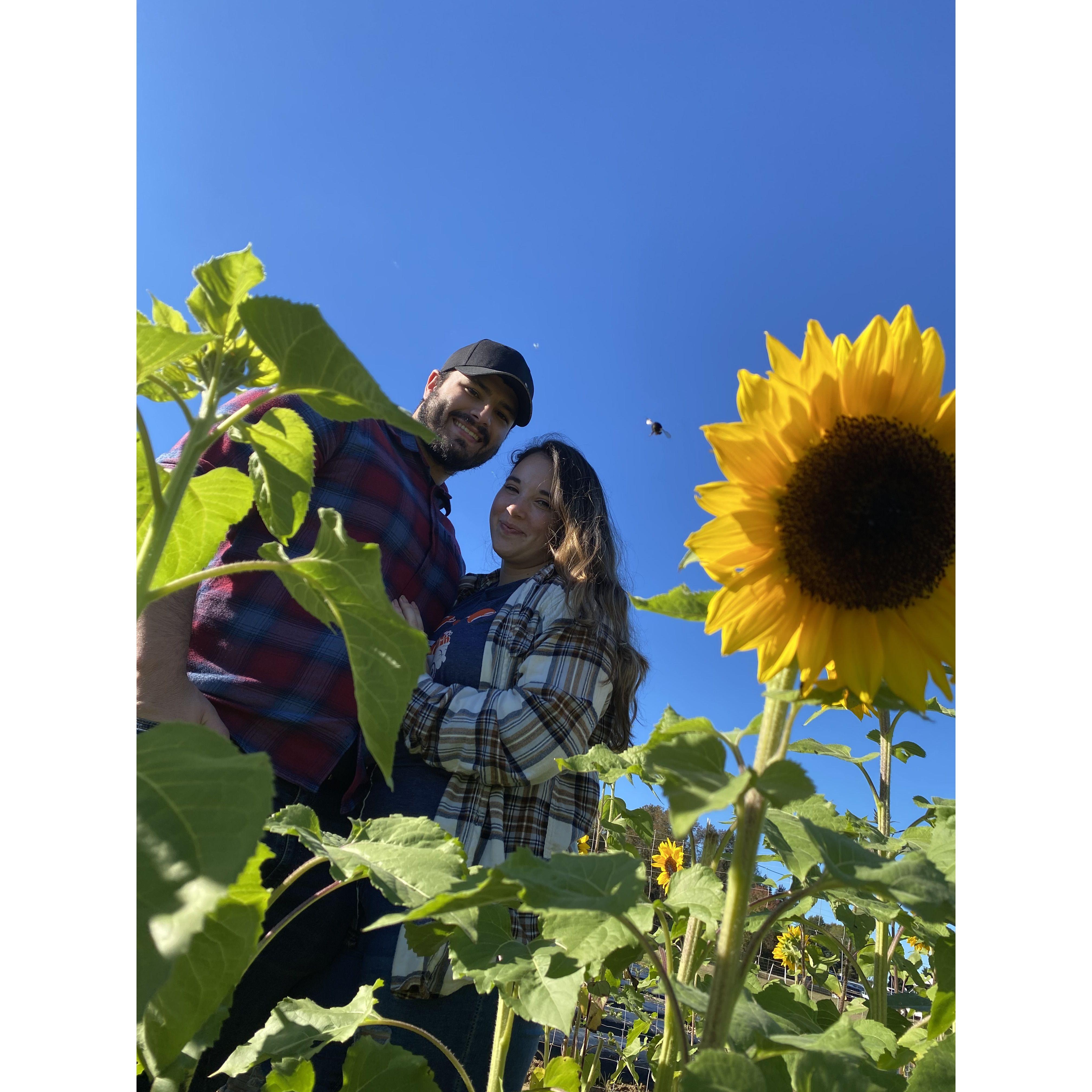 We went to a pumpkin patch and a bee photo bombed our picture! 2021