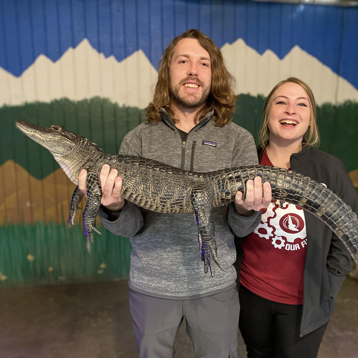 Gator thing in Colorado